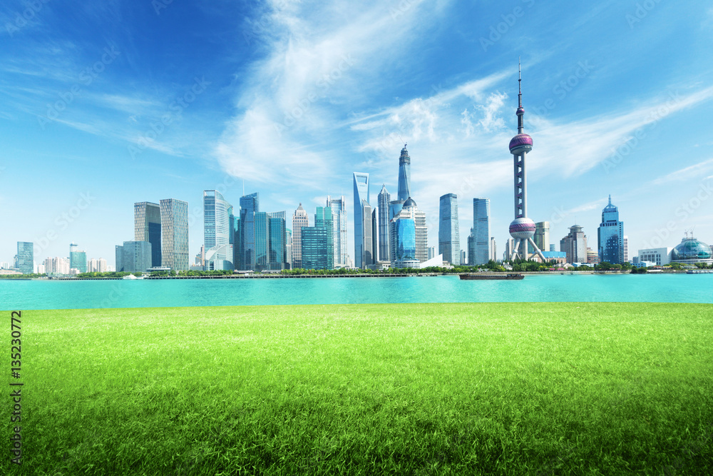 Shanghai skyline and green grass in park, China