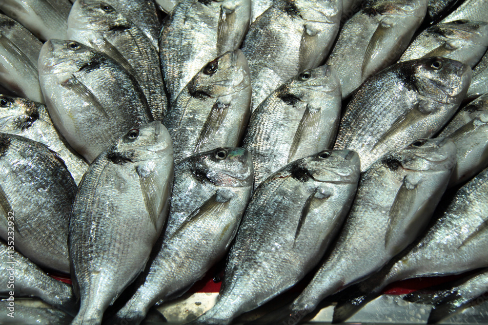 Obraz premium Piles of freshly caught fish at local's market
