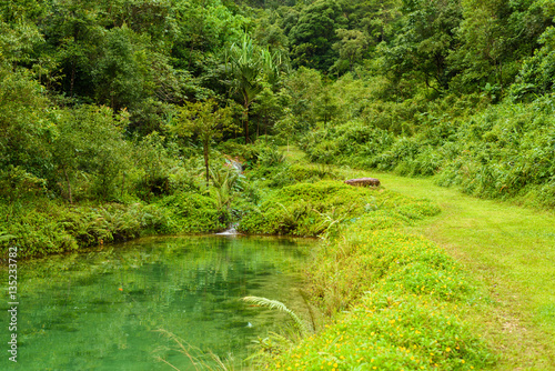 Small waterfall in the forest