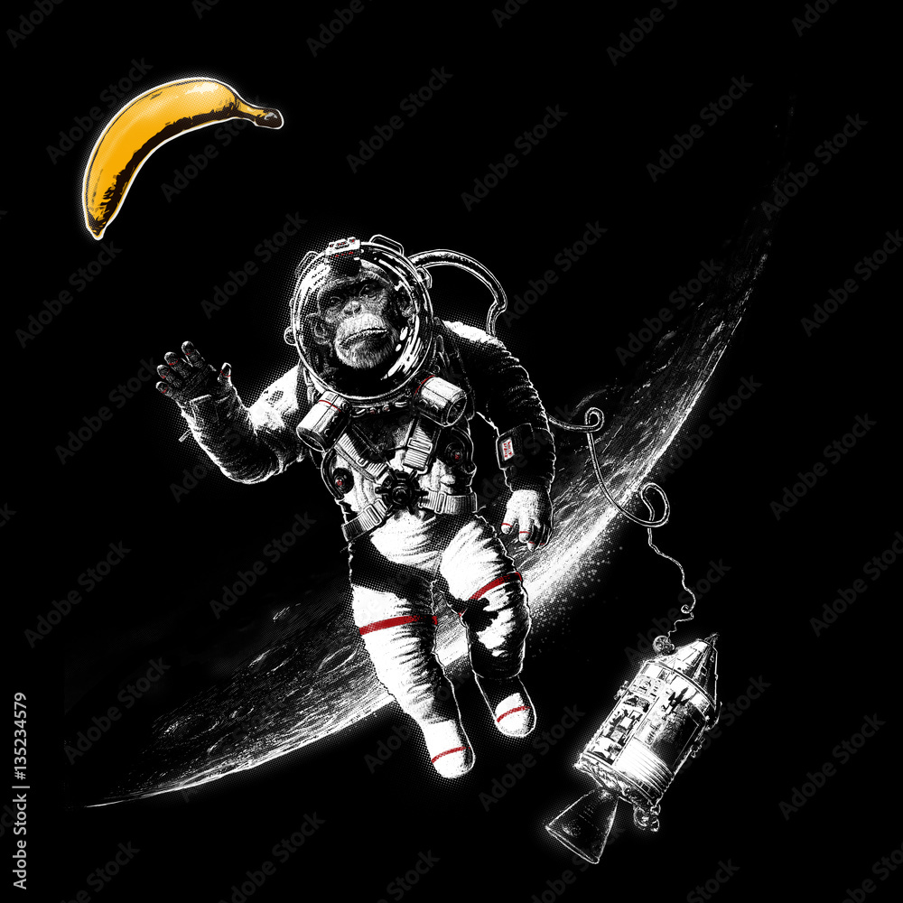 Obraz premium Space Monkey