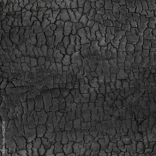 Black background photo