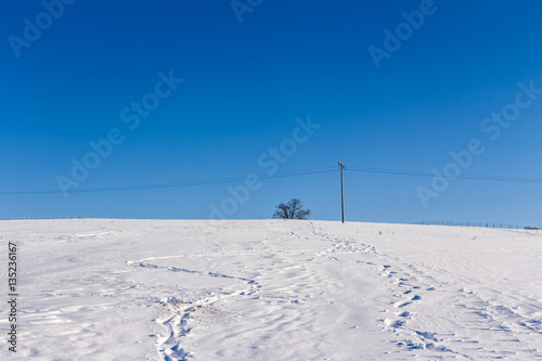 Idyllic landscape in winter with a lot of snow