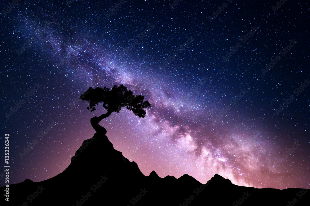 Milky Way and tree on the mountain. Old tree growing out of the rock  against night