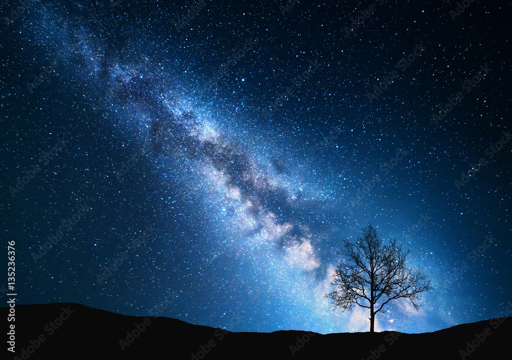 Milky Way and tree on the field. Little tree against night starry sky with  blue milky way. Night landscape. Space background. Galaxy. Nature and  travel background. Wilderness, wild nature Stock Photo |