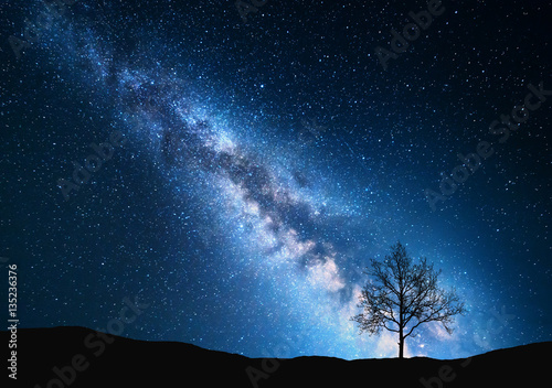 Milky Way and tree on the field. Little tree against night starry sky with blue milky way. Night landscape. Space background. Galaxy. Nature and travel background. Wilderness, wild nature