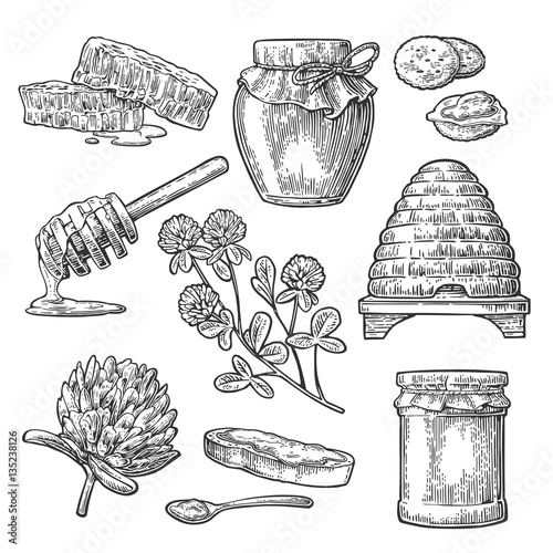Honey set. Jars of honey, hive, clover, spoon, honeycomb.