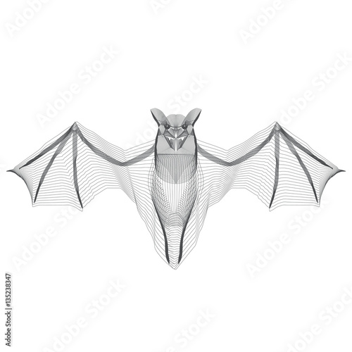 A  bat  x-ray stylize  illustration on a white background