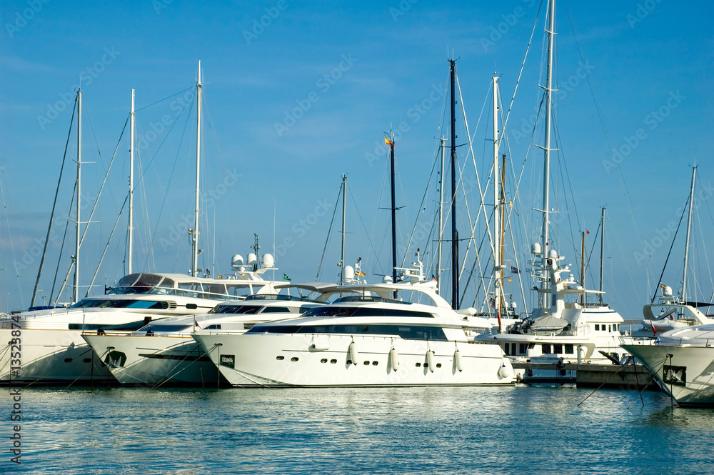 Yachts Moored in the Marina