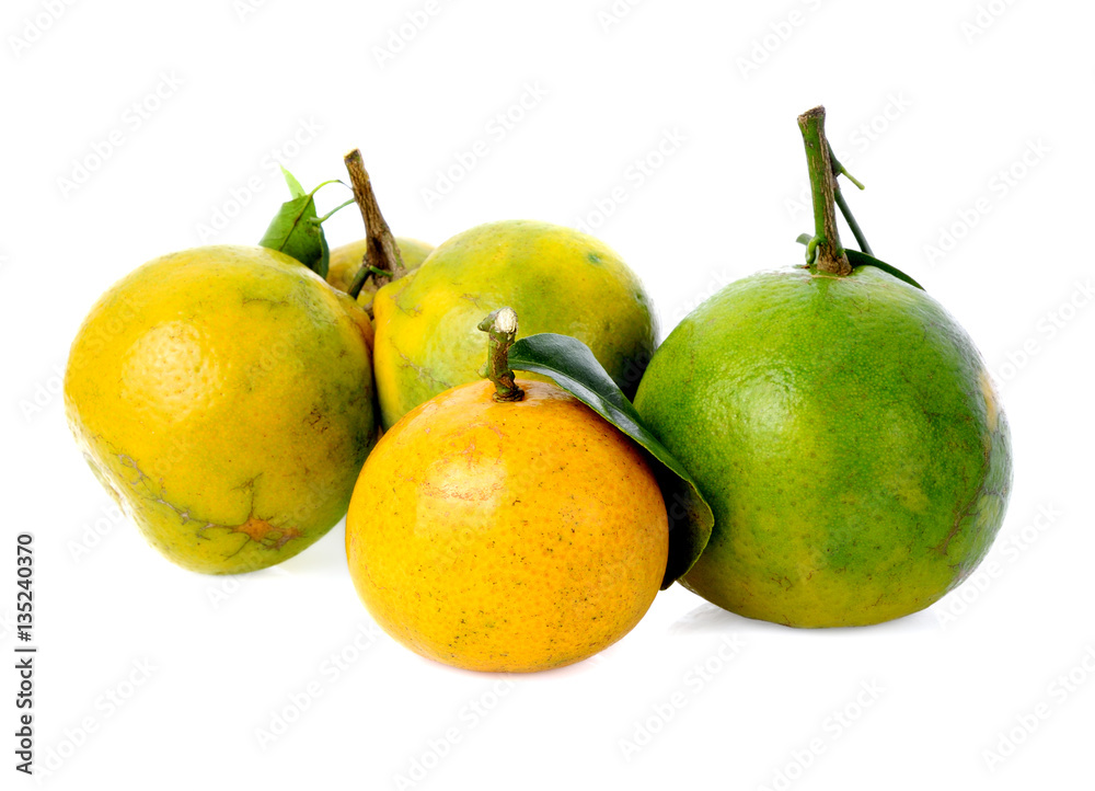 Orange fruit isolated on white background Orange fruit isolated on white background