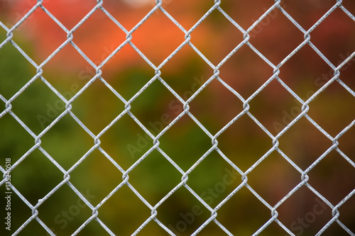 Chain link fence with autumn color background