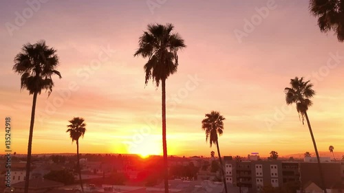 Los Angeles behind Row of Palm Trees at Sunrise Aerial Drift