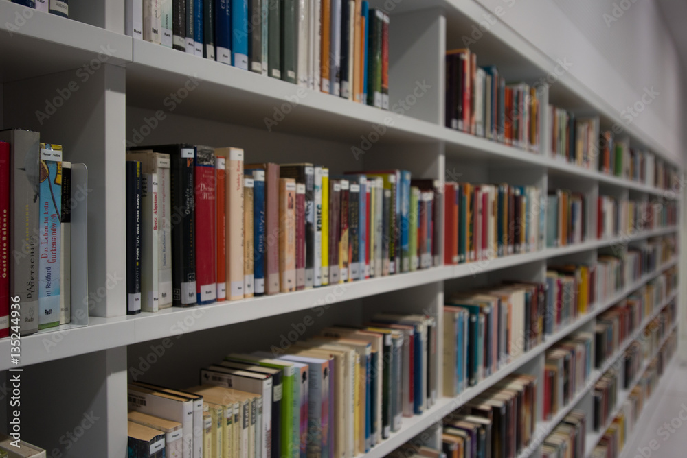 Books on library shelves Books on library shelves