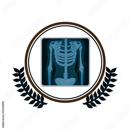 circular border with olive branch and screen with x-ray of bones vector illustration