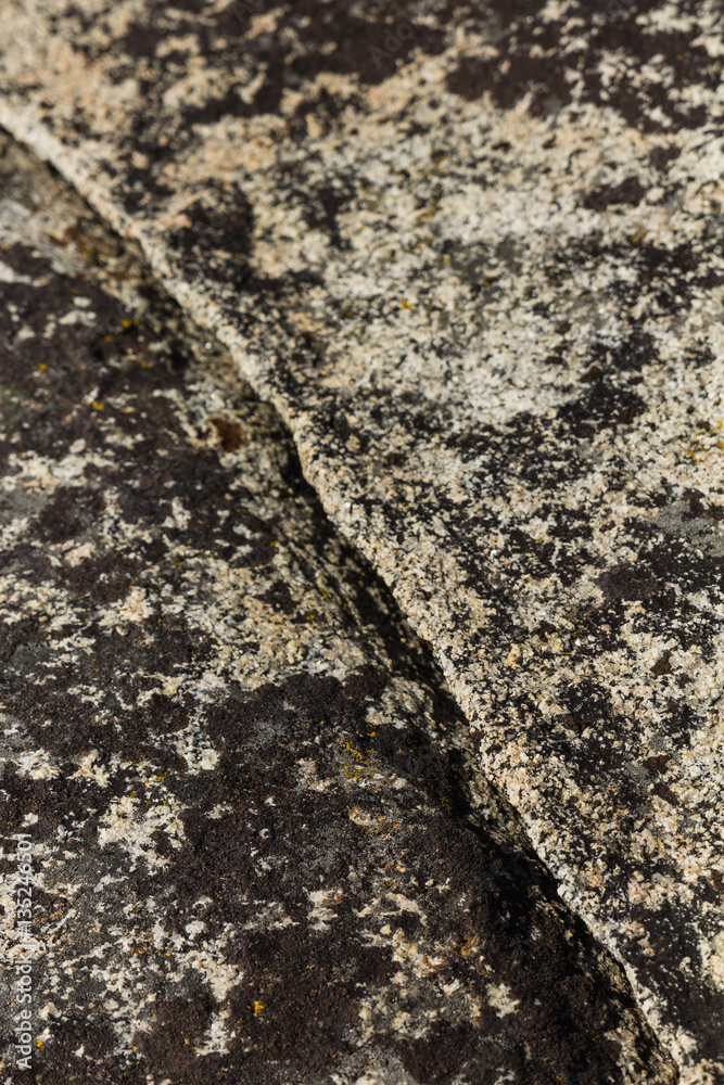 Fototapeta premium Closeup of granite covered in black lichen in California's high sierra