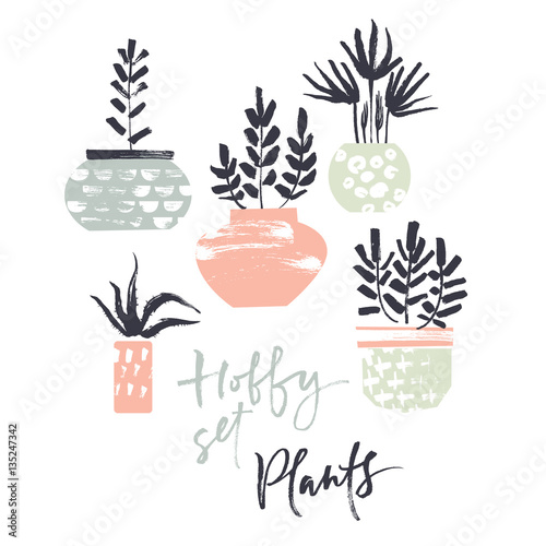 Hobby set. Plants in pots