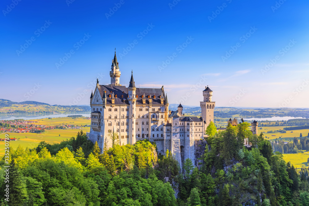 Summer view of Neuschwanstein Castle, Fussen, Bavaria, Germany - obrazy, fototapety, plakaty 