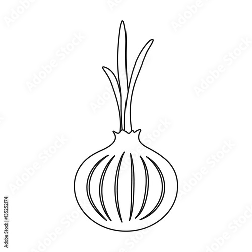 Onion icon outline. Singe vegetables icon from the eco food outline.