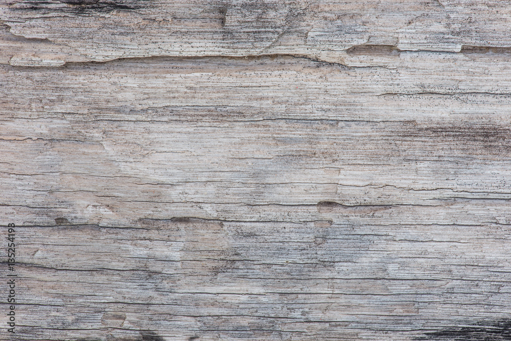 Real Natural wood Texture, background closeup Real Natural wood Texture, background closeup