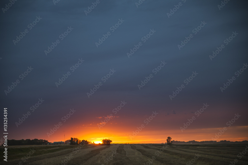 Beautiful Prairie Views