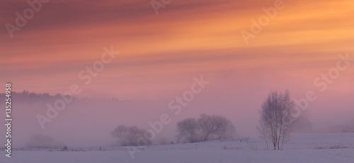 Winter landscape in red and pink tones
