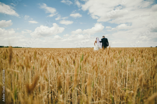 Wheat Field Wedding Bride And Groom Walk