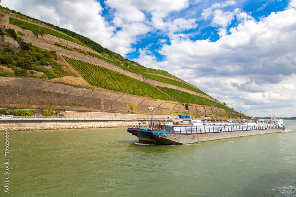Fototapeta premium Romantic Rhine valley in Germany