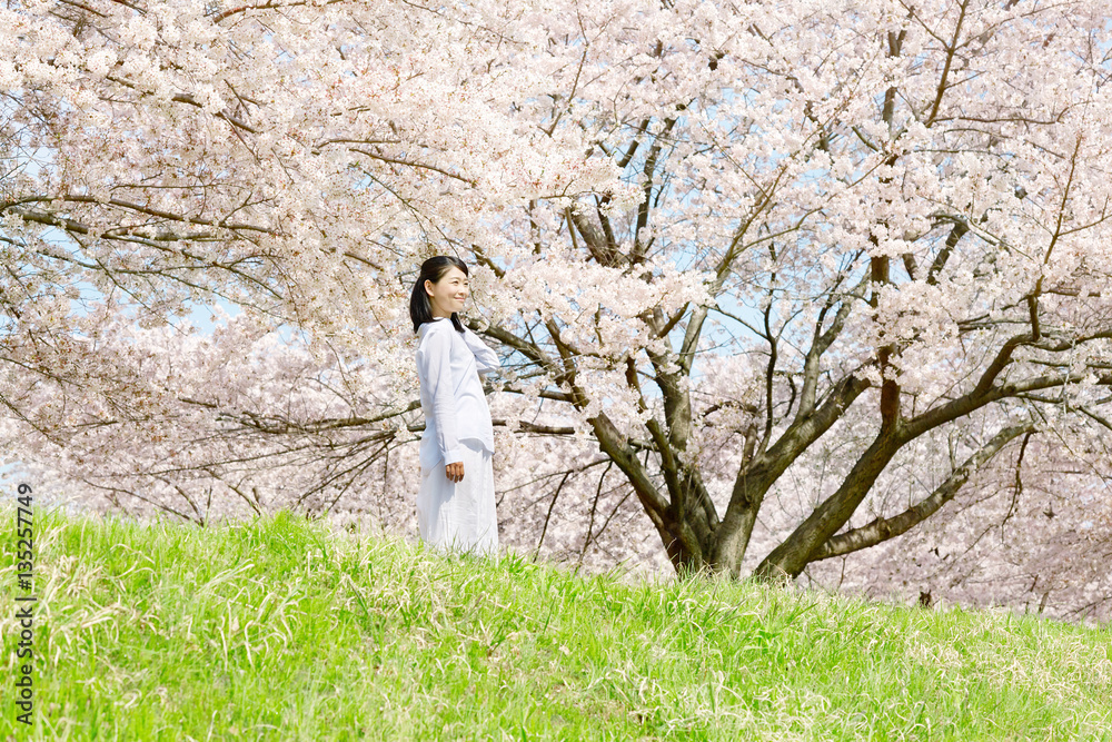 Obraz premium 女性 桜