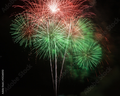 Firework in the night sky