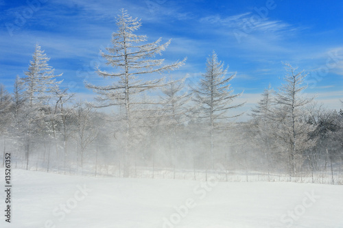 snow scene, snowstorm landscape a winter