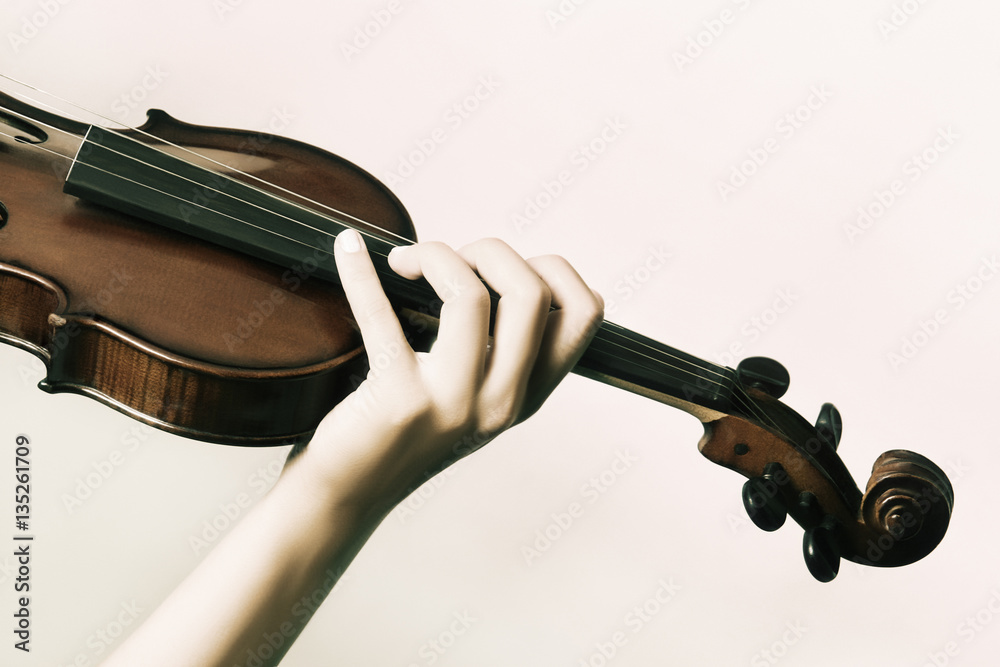Violin close up hands violinist StockFoto Adobe Stock