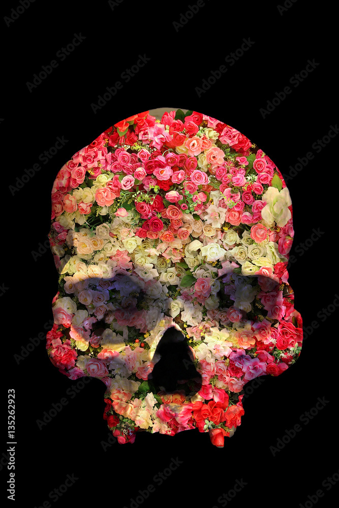 Fototapeta premium Skull with Roses in double exposure isolated on black background.
