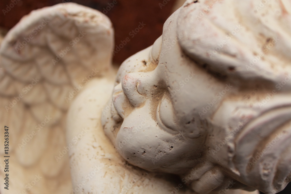 Obraz premium decoration