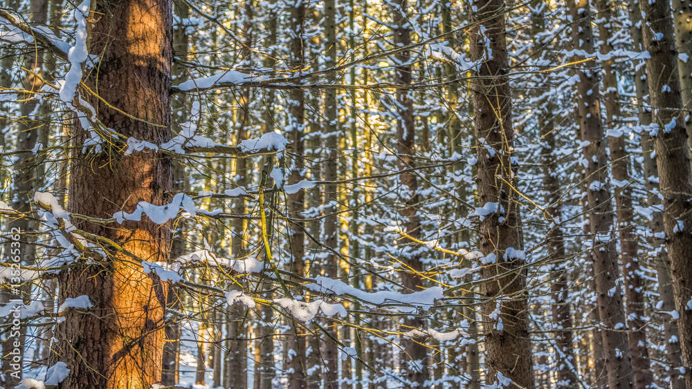 Obraz premium Standing close