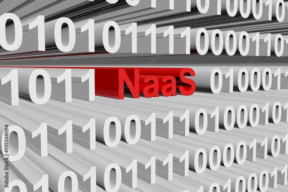 NaaS in the form of binary code, 3D illustration