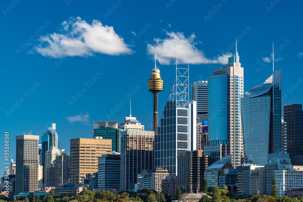 Naklejka premium Sydney panoramę w słoneczny dzień