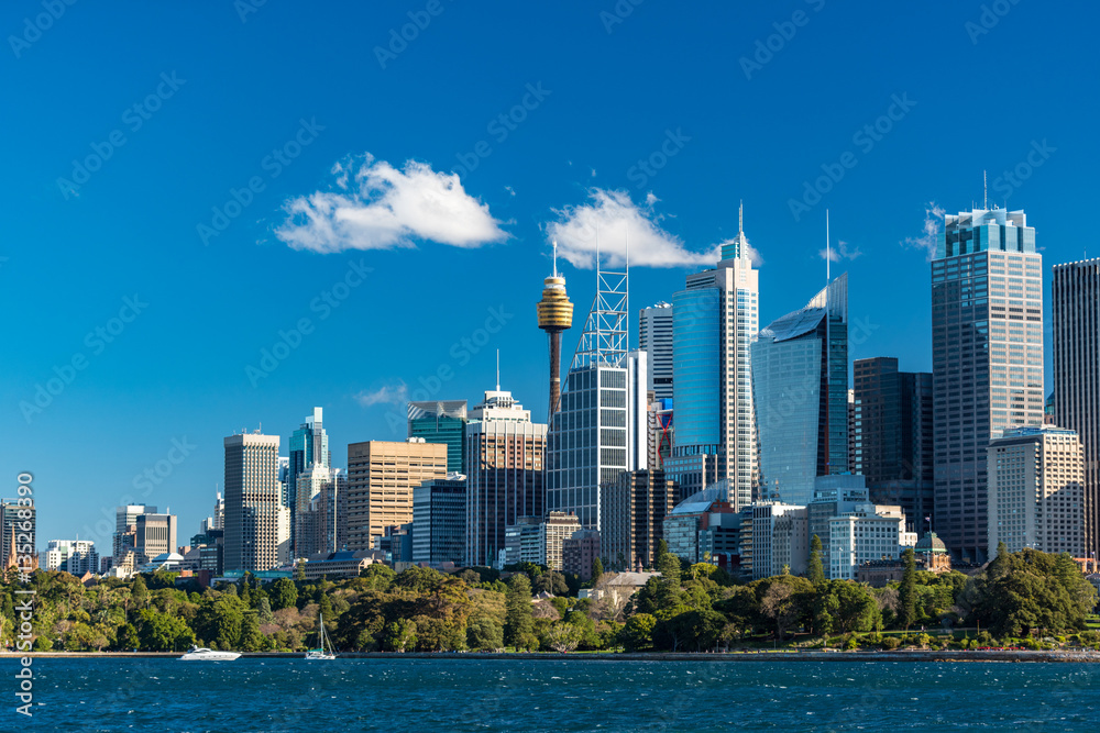 Obraz premium Sydney skyline with Sydney Harbour and white yachts