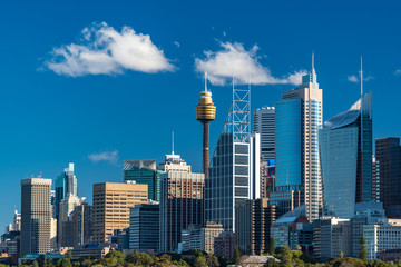 Acrylglasbilder Sydney Sydney Skyline an sonnigem Tag  © Olga K
