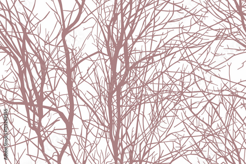 Fotografie, Obraz Tree branches seamless background
