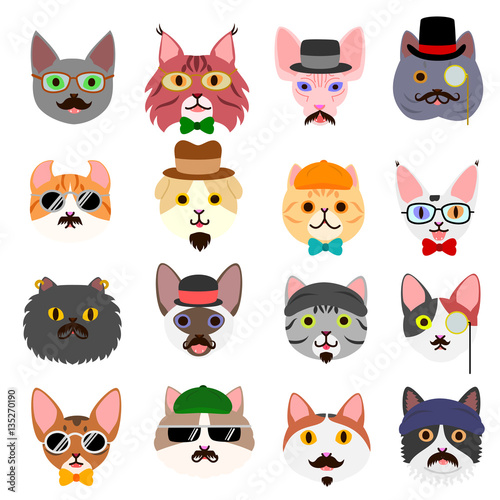 hipster cats faces set