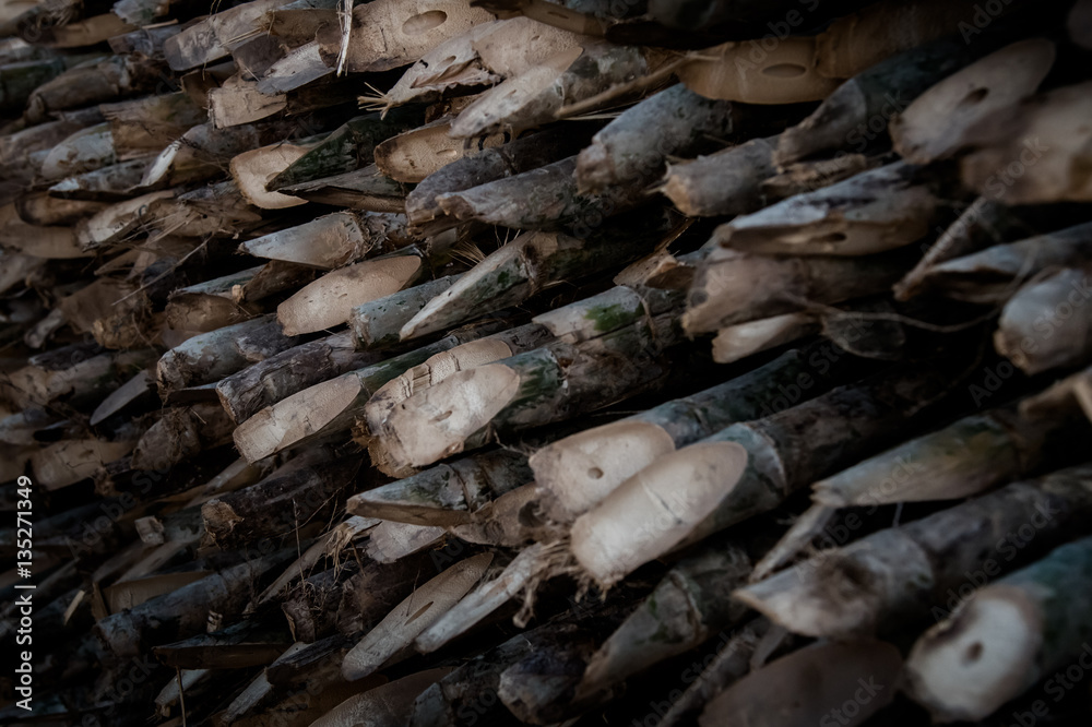 Bamboo spikes, Wood material Bamboo spikes, Wood material
