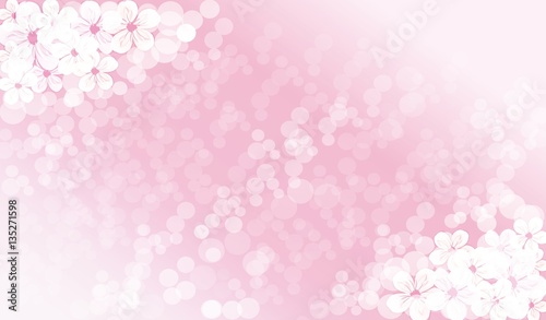 BLOSSOM BACKGROUND, FLOWER BACKGROUND