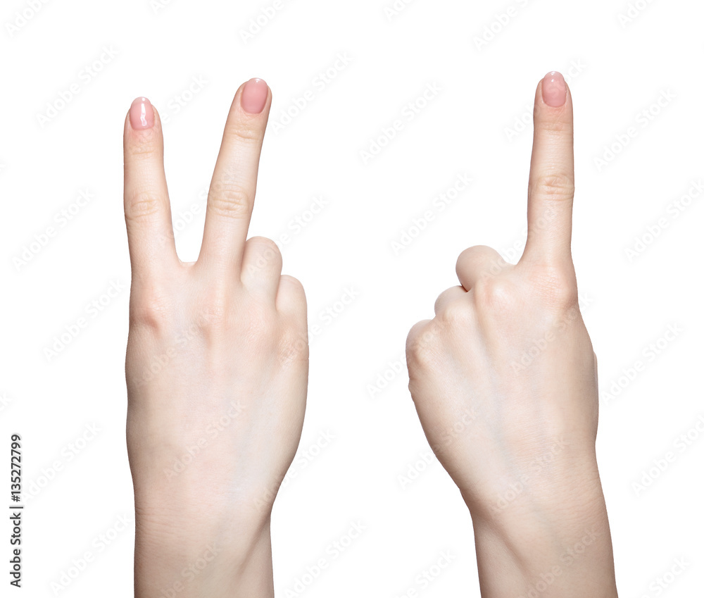 Female hands with woman's professional natursl pink nails manicu Female hands with woman's professional natursl pink nails manicu