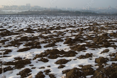 frozen field with snow in the winter photo