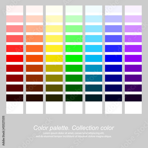 Color palette. Collection color. Rainbow color. Vector illustration, EPS10