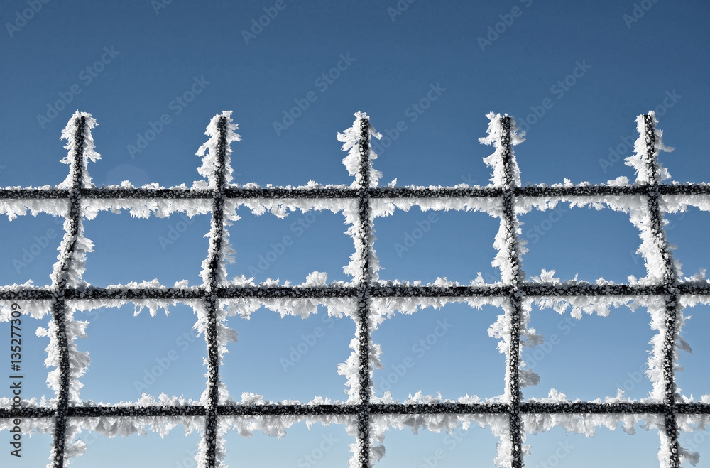 Metallic net covered with hoarfrost. Extreme cold weather concep Metallic net covered with hoarfrost. Extreme cold weather concep