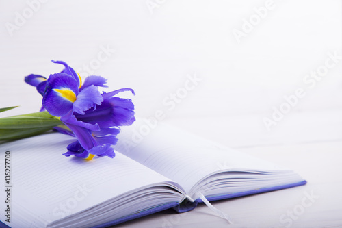 Fototapeta Naklejka Na Ścianę i Meble -  Bouquet of beautiful irises with notebook on white wooden backgr