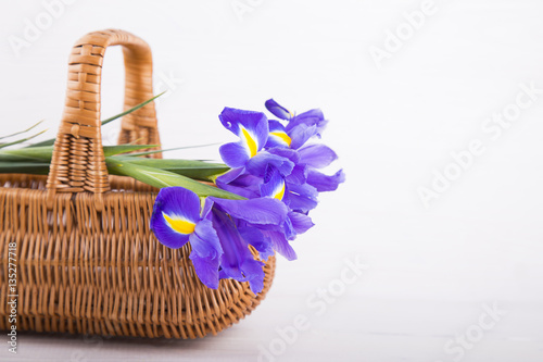 Fototapeta Naklejka Na Ścianę i Meble -  Bouquet of irises in wicker basket on white wooden background