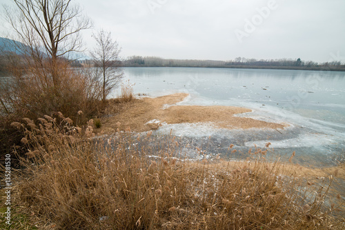Fototapeta Naklejka Na Ścianę i Meble -   Lake San Daniele in the grip of ice - Winter in Friuli