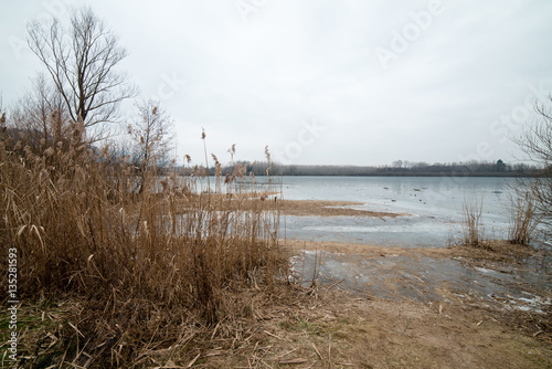  Lake San Daniele in the grip of ice - Winter in Friuli