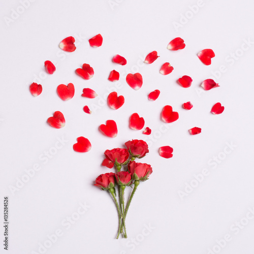 Bunch of roses on white background